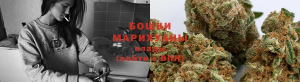 мдпв Пересвет