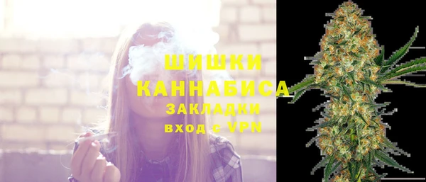 мдпв Пересвет