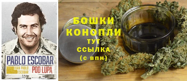тгк Переславль-Залесский