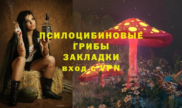 мдпв Пересвет