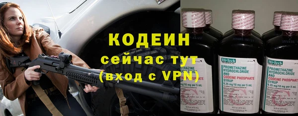 мдпв Пересвет