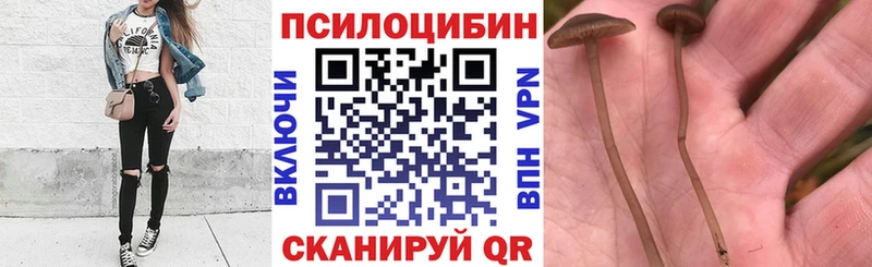 Галлюциногенные грибы Psilocybine cubensis Саки